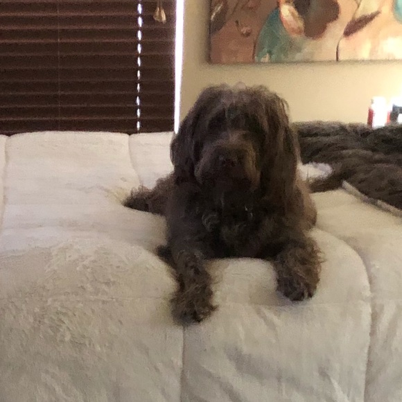 Poshmark isn’t just a j.o.b. It’s what I do💖 - Picture 3 of 8